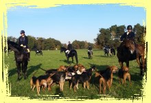 2015 11 03 Hubertusjagd