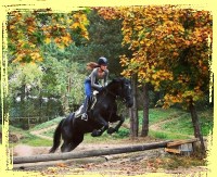 Vielseitigkeitsreiten Reiterhof Tegelmann 2018