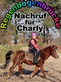 2021 06 11 Charly Regenbogenbruecke