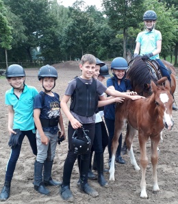 2021 07 08 reiterferien mit fohlen nevio